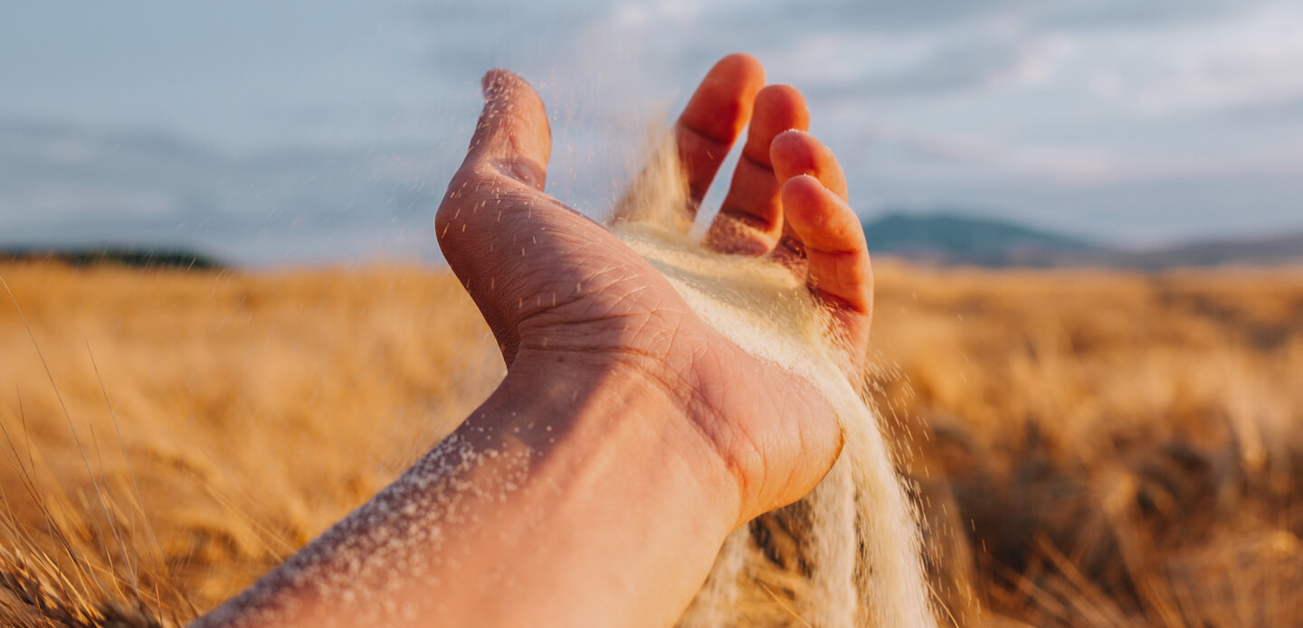 sand.jpg